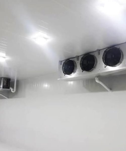 WhatsApp Image 2026-01-09 at 7.44.50 PM