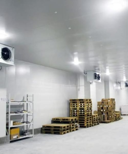 WhatsApp Image 2026-01-09 at 7.44.51 PM (1)